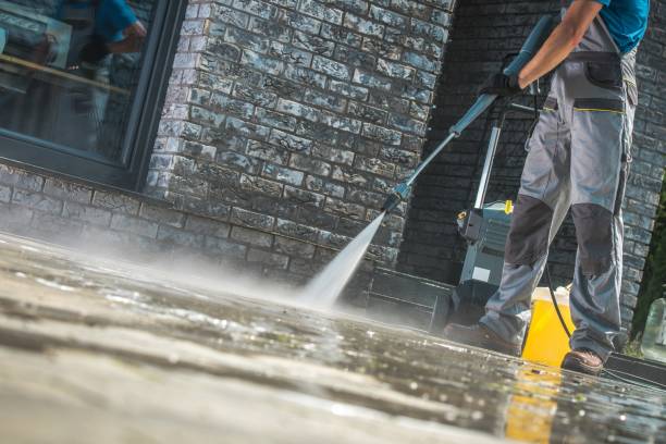 Animal Enclosure Cleaning in Demopolis, AL