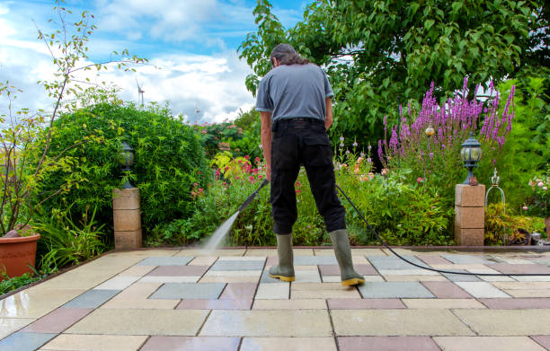Reliable Demopolis, AL Pressure Washing Services Solutions